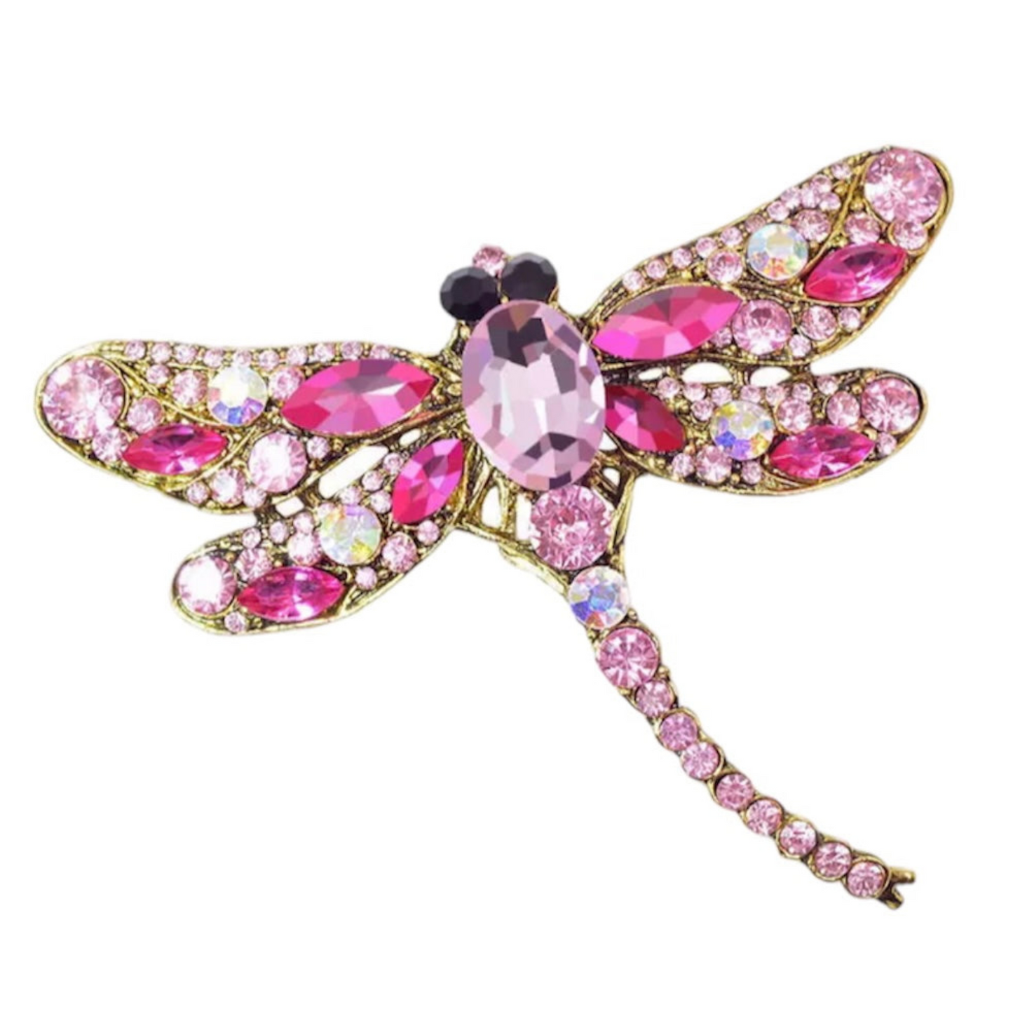SOAR HIGH Brooch