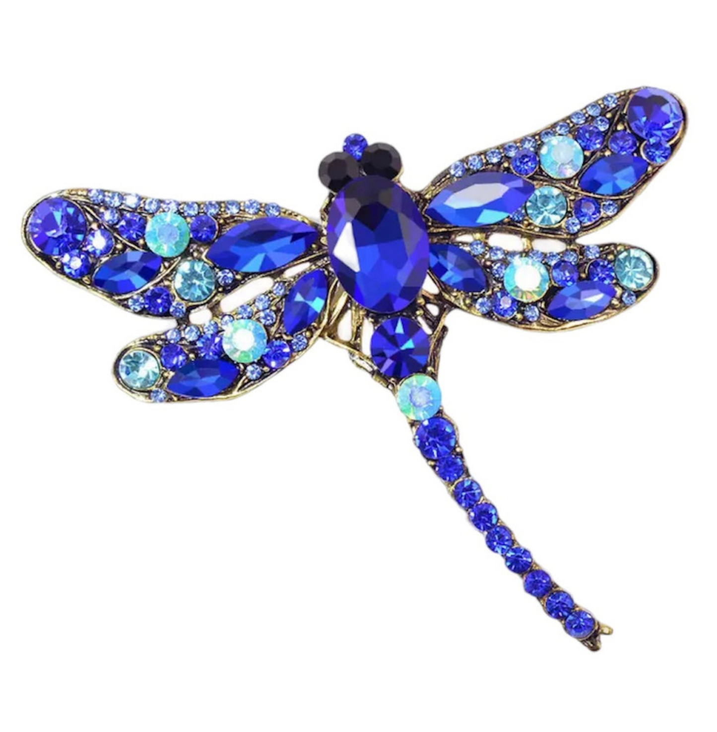 SOAR HIGH Brooch