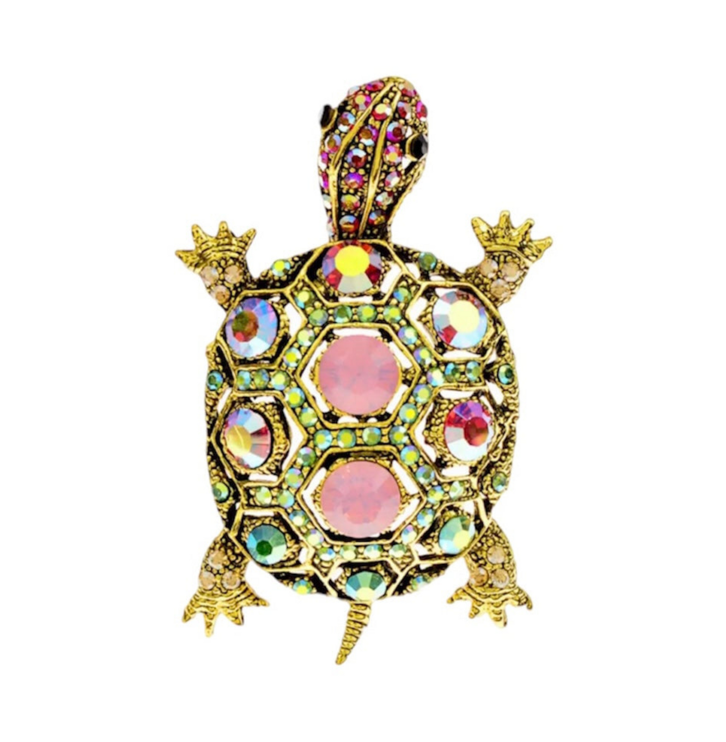 AURORA SHELL Brooch